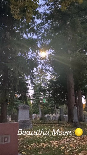 Sunday night we gathered for Ritual to honour the forgotten dead. It was such a lovely night. The moon hung brightly above lighting our way as we moved throughout the cemetery reading each tombstone of those laid to rest. The words from our ritual blessings spoke to my soul, leaving chills on this warm November night. Collectively we all visited the oldest Tomb in the cemetery and individually we collected dirt from our chosen sacred areas. It was a lovely experience and I’m very grateful you gu