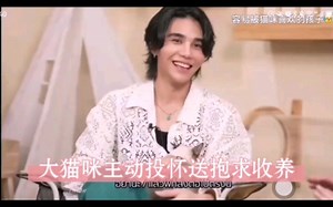 【罗杰夫】见了罗杰夫和小码，猫都比人聪明，主动求收养了，人不如猫呀