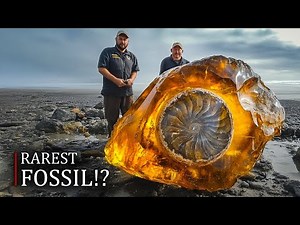 Prehistoric Creature Trapped in Amber for 100 Million Years FOUND!