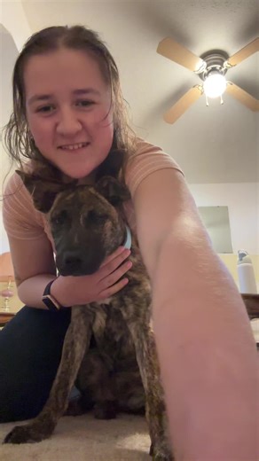 Remi isn’t sure how to feel about this trend #puppy #stomp #elephant