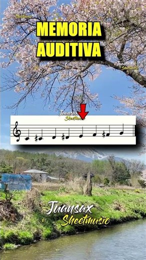 MEMORIA MUSICAL