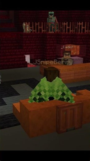 We did NOT know how the legal system works! #minecraft#minecraftsurvival#gaming#funny