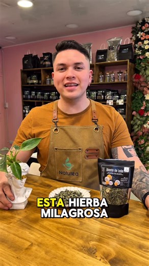  ¡EL SECRETO QUE LA INDUSTRIA NO QUIERE QUE SEPAS!  El humilde diente de león no solo limpia tu hígado como una escoba mágica 粒✨, también ayuda a bajar de peso naturalmente y protege tu vesícula como un escudo invisible ️. ¡Un té tan poderoso que podría cambiar tu salud desde la primera taza! ☕ | Natutea | Facebook
