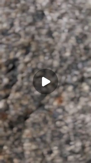 Simran Sahdev | Mari Jeet bhi laja tu mari Jaan 👥👥👥#norafatehi #instagram #onepiece #instagood #songs #outfit | Instagram