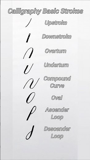 Calligraphy Basic Strokes 📜🖋️#calligraphy #lettering #handlettering #art
