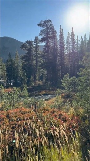 #shadowcreektrail #anseladamswilderness #fall #mammothlakes #sierranevada #inyonationalforest #조아하이킹
