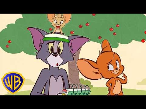 Teach Tom to Count! 😸✏️ | Learning with Tom & Jerry | ‪@wbkids‬