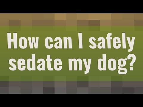 How can I safely sedate my dog?