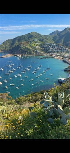 Exploring Catalina Island: Your Perfect Day Trip Itinerary