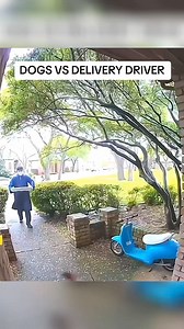 Ｂ Á Ｃ Ｈ Ｈ Ó Ａ ＢＡＳＡＯ ® . Cửa hàng bên mình mở cửa cả tuần tại bình...