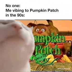 Good times 🎃 | The Kiffness