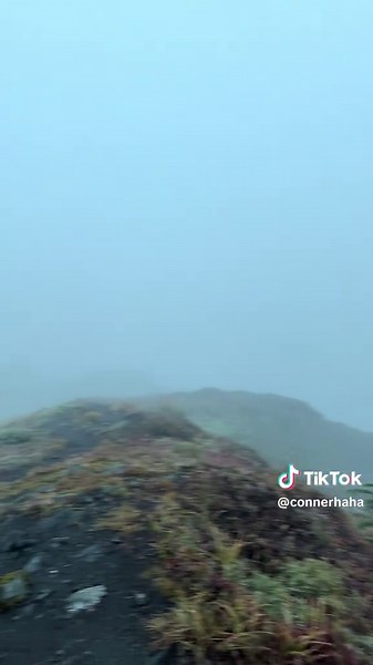 #fyp #wa #hiking | Hiking