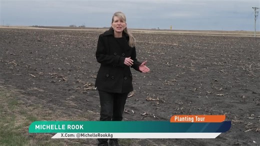 Corn Reigns King For Planting in Northwest Iowa