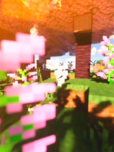 EGOO Editing Prime: New 4K 120fps Method for Smooth Minecraft PvP