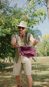 83M views · 10K reactions | Em um mundo perfeito, quem precisaria de sutiã? . . . . . . #macaco #monkey #funny #comedy #humor #comedia #lol #explorer #funnyvideos #reelsinstagram #viral | Julio Rocha | Facebook