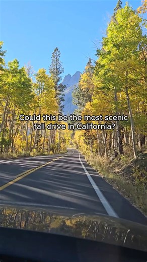 Could this be the most scenic fall drive in California?! 😮 Send to the person you’re bringing along on this autumn road trip! 🍁🚙 📍June Lake Loop in Mono County Tourism 📷 @wanderingcreator_meghana on IG | Visit California