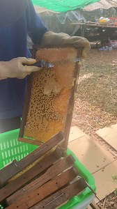 133K views · 694 reactions | Football LH on Reels | Facebook