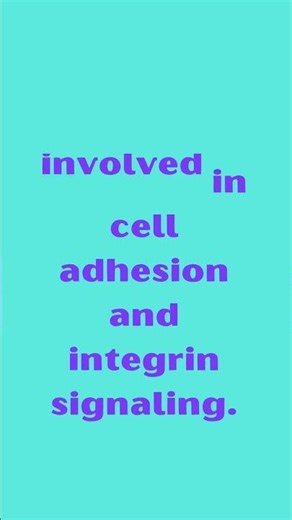 RAP1B Ras Related Protein 1B