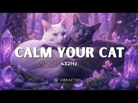 Calm Your Cat • 432Hz Healing Frequency for Anxiety (1 Hour)