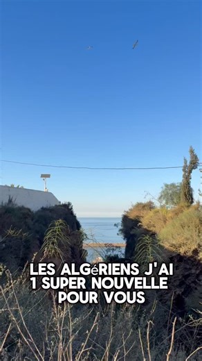 Hijra Algérie 🇩🇿 Oran📍| E-Business 💻 on Instagram: "📰 Bonne nouvelle pour les Algériens de la diaspora ! 🔹 Dimanche 14 décembre 2025, le président de la République, Abdelmadjid Tebboune, a signé la loi de finances 2026 au siège de la Présidence. 🔹 Cette loi prévoit que, dès le 1er janvier 2026 InchaAllah, les Algériens résidant à l’étranger et inscrits auprès d’une représentation consulaire pourraient importer un véhicule d’occasion ou quasi‑neuf (moins de 5 ans) lors de leur retour défin