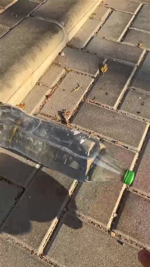 Car vs Bottle 🥤💥 Can it survive the weight 😱 Wait for it… 😳 #carvsbottle #experiment #viralfail #funnytest #donttrythisathome #foryou #fyp #diy | Dobrovolskyi hchef