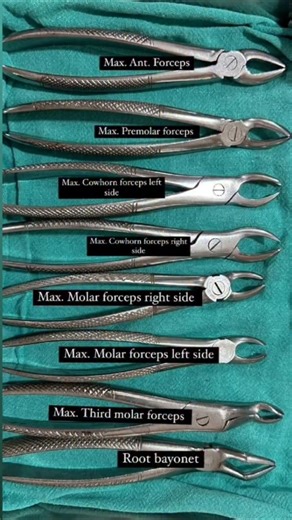 انواع واستخدامات ال Maxillary Forceps #dentistry #dental #dental_student #طب_الأسنان #dentalstudent