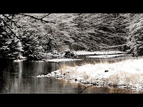 Bosques invernales - Rusia