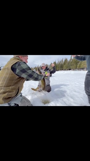 1.4K views · 65 reactions | Tylor Kellys Camps Allagash Maine on Reels | Facebook