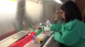 3.2K views · 70 reactions | New CDC test kits to detect Coronavirus Disease 2019 (COVID-19) are now available in California, and can be used to do diagnostic testing in the community. Learn more: https://www.cdph.ca.gov/Programs/OPA/Pages/NR20-007.aspx | California Department of Public Health | Facebook