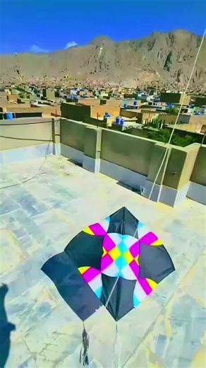 Explore the Joy of Kite Flying on Basant Festival