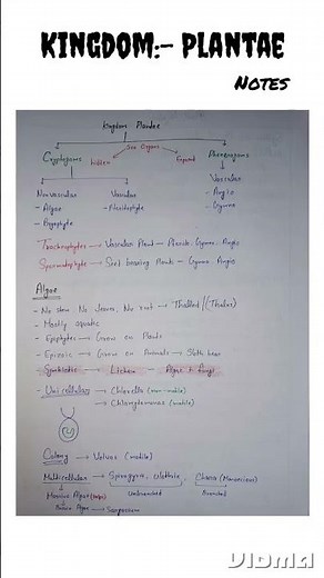 Kingdom Plantae class 11 | plant Kingdom class 11 | Plantae | Kingdom Plantae class 11 one shot