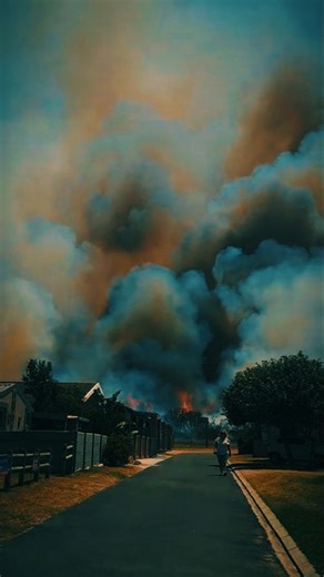 Salted Fynbos Staying on Instagram: "As I’m posting this, the wind is blowing at 40 km/h, farms around me are burning, and neighbours’ sheds and homes are on fire. Hundreds of hectares have already burned around Pearly Beach, with around 200 firefighters and volunteers fighting multiple fire fronts. Air support has been grounded, crews are stretched thin, and the wind is relentless. ⚠️ We are in Code Red — meaning conditions are extremely dangerous. Fire is spreading faster than it can be stoppe