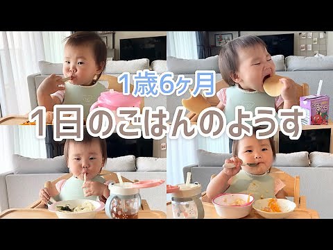 【1歳6ヶ月女の子の1日のごはん】1歳半は何食べる？どうやって食べてる？朝・昼・おやつ・夜のごはんの様子を公開！メニュー紹介も✳︎