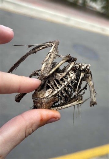 Creative Ways to Handle Phone Loss Threats