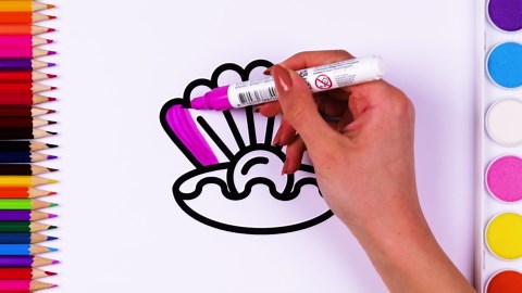 Sea Shell coloring in for Kids