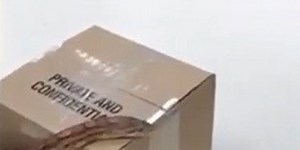 The cat's strange reaction when it saw a snake for the first time (Video)