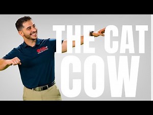 HOW TO CAT-COW