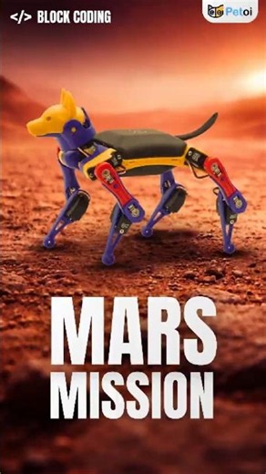 Mission to Mars: Coding the Bittle X Robot Dog in Silicon Valley