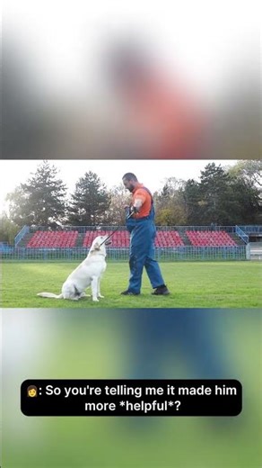 Service Dog Training Made Simple 🦮