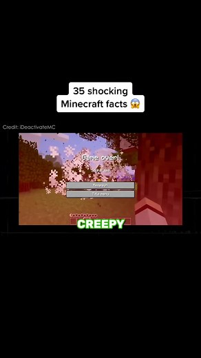 dadusak #minecraft #fyp #gaming #minecraftmemes #minecraftbuilding | minecraft