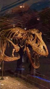 Tyrannosaurus: The Tyrant Lizard | Prehistory 101
