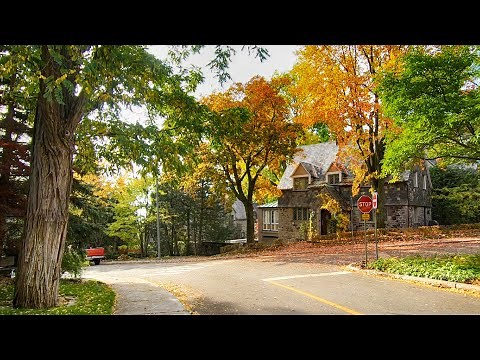 Montreal Autumn Walk in Westmount, Quebec, Canada