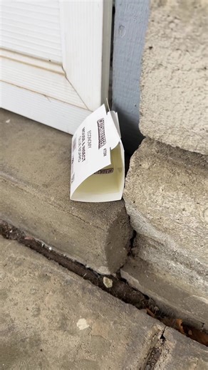 Mouse & Insect Glue Board Traps #mice #insects #rodentcontrol #rodent #traphouse