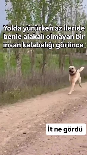What is Keşefetedüş? Human Crowd Explained