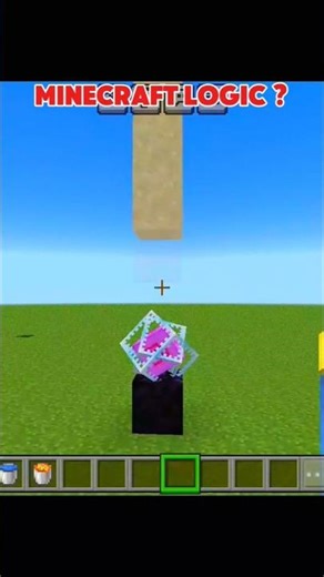 Minecraft logic #viral