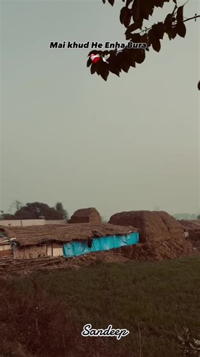 #sandeep #status #tik_tok #🇩🇪