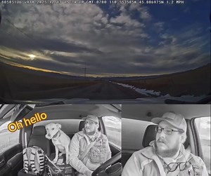 1M views · 61K reactions | This pup managed to sneak her way into a joyride with an unsuspecting delivery driver. Popped up to ask where they're headed and if there's time to get a pup cup on the way. 12/10 (TT: copperdoesstuffs) | We Rate Dogs | Facebook