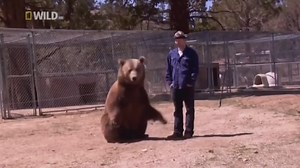 Man gets killed by bear