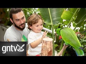 Inside Dubai's Green Planet