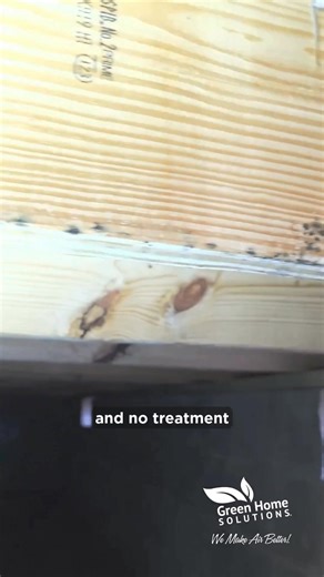 Mold doesn't play favorites! Even new construction homes can be susceptible! | Green Home Solutions